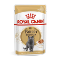 Упаковка вологого корму Роял British Shorthair adult 85 гр.