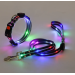 Комплект нашийник і повідець з LED  підсвічуванням для собак, USB зарядка, пластиковий фастекс, чорний