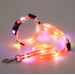 Комплект нашийник і повідець з LED підсвічуванням для собак, USB зарядка, пластиковий фастекс, помаранчевий