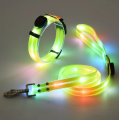 Комплект нашийник і повідець з LED підсвічуванням для собак,  USB зарядка, пластиковий фастекс,  жовтий