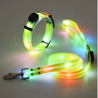 Комплект нашийник і повідець з LED підсвічуванням для собак,  USB зарядка, пластиковий фастекс,  жовтий