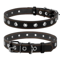 Нашийник "CoLLaR" безрозміний (ширина 25мм, довжина 60см) чорний 02441