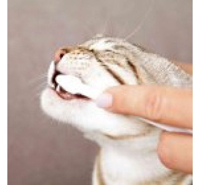 Зубна паста Trixie для котів з щіткою 50 г 25620