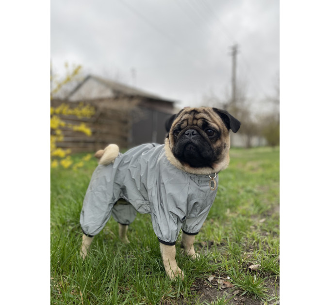 Дощовик для собак WAUDOG Clothes світловідбиваючий, S35, В 47-51 см, С 35-39 см 5427