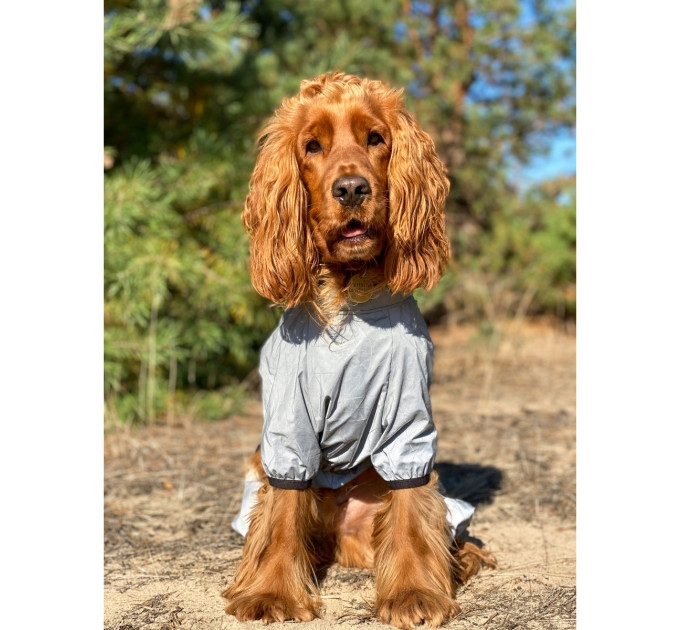 Дощовик для собак WAUDOG Clothes світловідбиваючий, XS22, В 30-34 см, С 19-21 см 5409