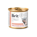 Корм Консерва Бріт Brit GF Veterinary Diet Cat Renal 200 g