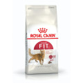 Корм Роял для котів  FHN FIT32 10 kg