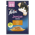 FELIX Fantastic Junior (Фелікс Фантастік Джуніор). З куркою. Шматочки у желе.  Конс/кот 20х100г