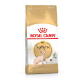 Корм сухий для котів породи сфінкс Royal Canin Sphynx 33 (400гр)