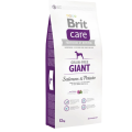 Корм Бріт Brit Care GF Giant Salmon and Potato 12 kg (д/собак весом от 45 кг)
