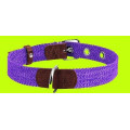 Нашийник брезентовий  для собак Collar 0261