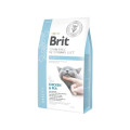 Корм Бріт Brit GF Veterinary Diets Cat Obesity 2 kg