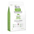 Корм Бріт Brit Care GF Adult Large Breed Salmon and Potato 3 kg (д/собак весом от 25 кг)