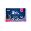 Корм Бріт Brit Premium Cat Набор паучей 4шт х 100g рыбная тарелка