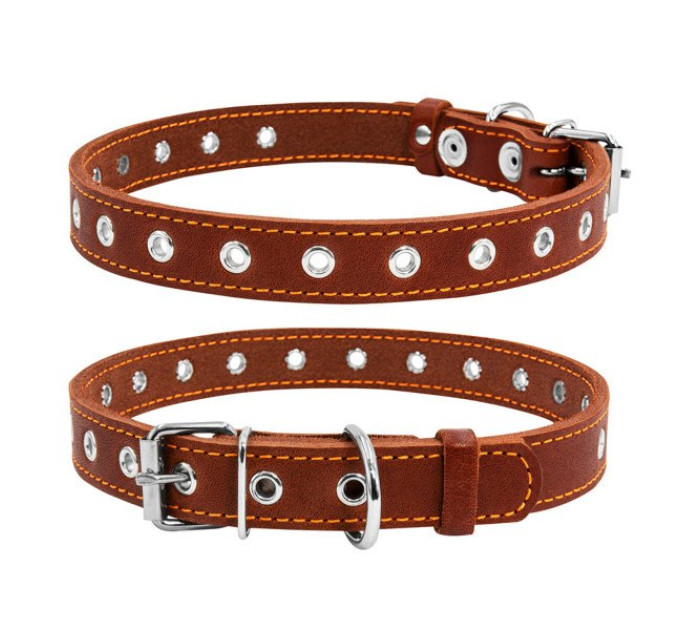 Нашийник безрозмірний CoLLaR, коричневий, (Ш25 мм, Д 60см) 02446